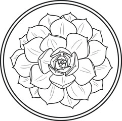 Succulent Flower Botanical Line Art Vector