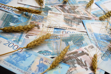 Obraz premium ears of wheat of black color on a fan of Russian rubles on a black background. selling or buying grain for cash. grain deal. world food program to help hungry countries
