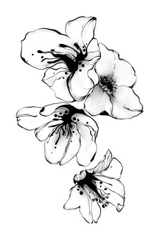 black and white abstract image of flowers in the linart style on a white background