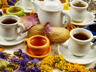 Porcelain cups and a teapot on a white table among various dried plants. Ingredients for making herbal and flower tea, side view.
