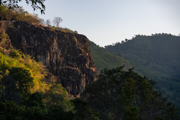 Naklejka premium Tropical forest rainforest nature landscape with misty foggy jungle trees and lush greenery creating a serene atmospheric wilderness scene, ideal for wellness, mindfulness, relaxation, natural environ