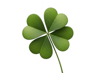 Green four leaf clover on transparent background
