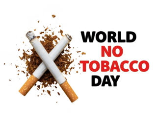 World no tobacco day campaign with cigarettes and crushed tobacco on transparent background
