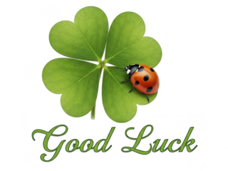 Four leaf clover with ladybug and good luck text for st patricks day and luck isolated on transparent background