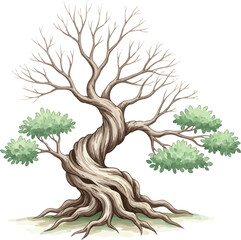 Old Tree Nature Illustration Color Vector