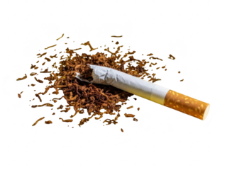 A cigarette and a pile of tobacco on a transparent background