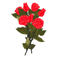 A bouquet of bright red roses. A set of four graceful blooms and three buds. Vector illustration on a white background.