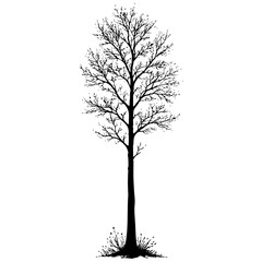 Black silhouette of a bare tree in winter