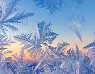 snow covered branches
