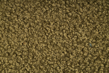 Green Curly Soft Wool Texture Background
