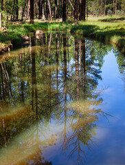 Obraz premium Mountain pond reflection