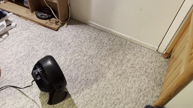 drying the carpet in the basement with a fan after flooding 