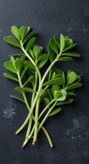 Vibrant fresh purslane greens harvested for healthy gourmet cooking, featuring succulent stems and thick paddle-shaped leaves rich in omega fatty acids, cooking, closeup, summer