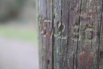 Close-Up of Weathered Wooden Utility Pole with Carved Numbers UK telegraph pole