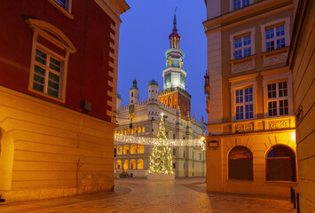Poznan Town Hall and Christmas Tree in Poland