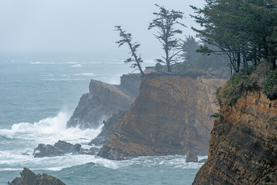 Misty Oregon Coastal Bluffs near Simpson Reef