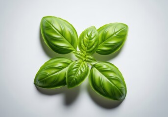 Fototapeta premium Bright green, fresh basil leaves arranged artfully, suggesting potent aromatic flavor for cooking and seasoning delicious meals, spice, plant, delicious