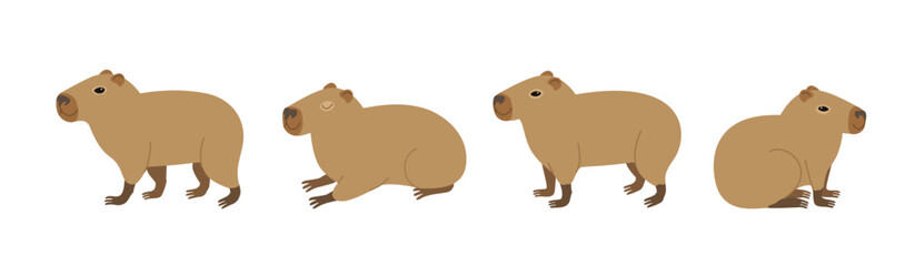 Cute capybara in various positions isolated on white background. Vector hand-drawn doodle illustration in trendy style.
