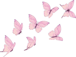 pink watercolor flock of the butterfly