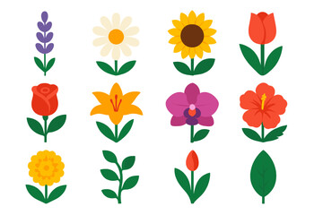 Vibrant Floral Icons. Wild Flora vector set in modern flat style : lavender, daisy, sunflower, tulip, rose, lily, orchid, hibiscus, marigold, vine, bud, leaf