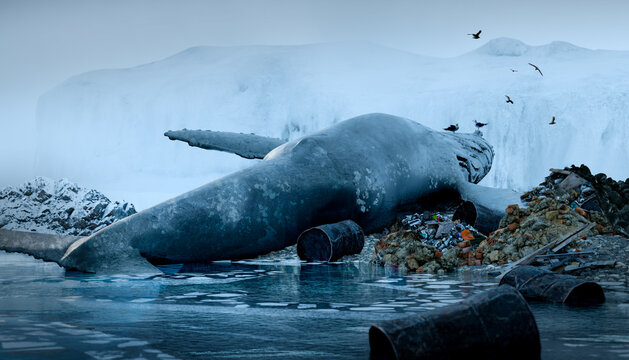 Dead whale on beach, animal concept, 3D illustration