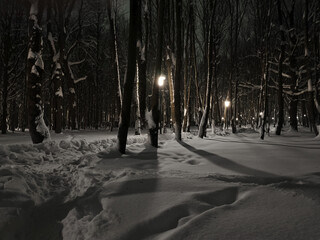 Snow covered road in winter in the forest park