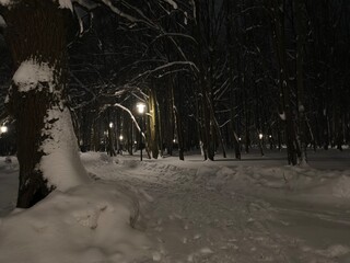 Winter snow road in the forest in the night in street lamp light