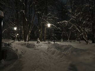 Winter snow road in the forest in the night in street lamp light