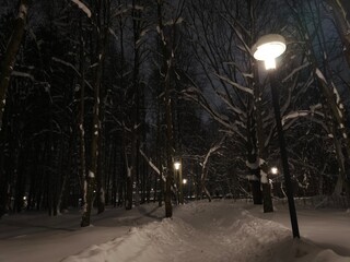Winter snow road in the forest in the night in street lamp light