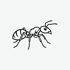 Fototapeta premium black and white ant vector 3.eps