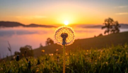 A dandelion seed head, backlit by a vibrant, golden sunrise, rises above a misty landscape of rolling hills and trees