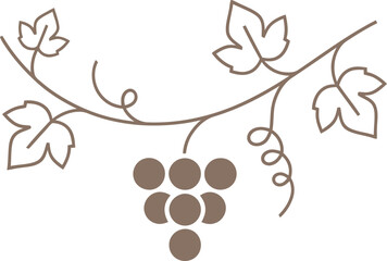 Simple grape vine with leaves and fruit cluster illustration. Harvest and vineyard concept vector graphic for wine label, logo design