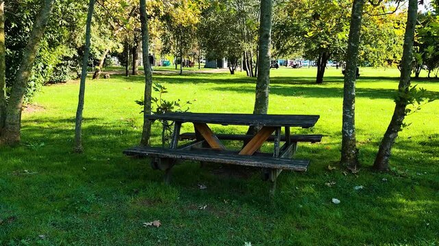 Wooden Picnic Table in Green Sunny Park - Anadolu Hisari Istanbul