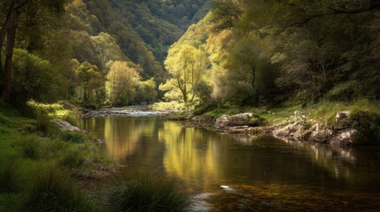 Tranquil River Flowing Through Lush Green Forest with Reflection of Trees in Calm Water and Sunlight Filtering Through Canopy