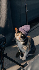 Stylized Orange Kitten with Tattoos, Purple Beanie, and Silver Chain in Spotlight Performance Setting