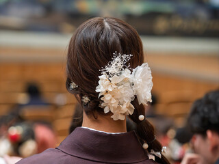 二十歳の誓い、春の光に包まれて