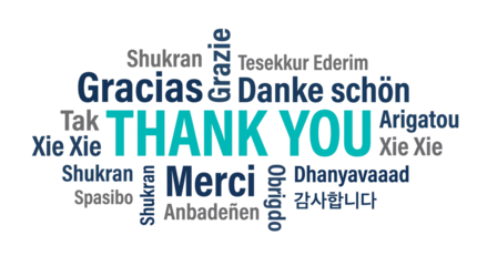 Thank You Multilingual Greeting for Global Marketing Campaigns