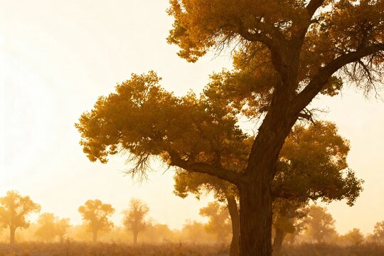 A solitary tree with golden foliage stands in a misty savanna at sunrise, surrounded by distant trees under a soft, warm sky. - Powered by Adobe