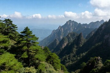 A scenic mountain range with lush green pine trees and rugged peaks under a clear blue sky