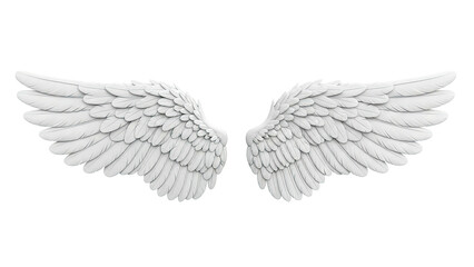 Obraz premium White Angel Wings