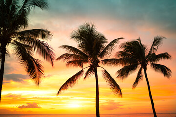 Golden Colorful Sunset Silhouetting Tropical Palm Trees in a Serene Nature Setting	