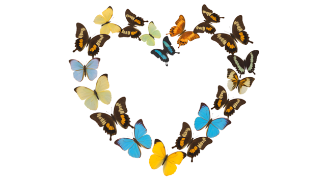 Colorful butterflies arranged in the shape of a heart on a transparent background heart shape nature - Powered by Adobe