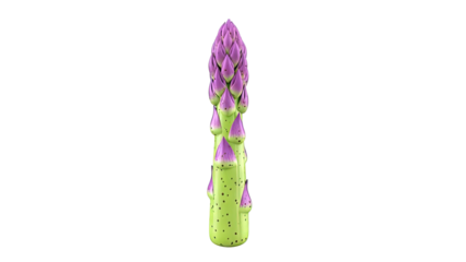Purple Asparagus Spear with Green Stalk and Black Spots