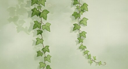 Two hanging ivy vines on a pale green wall
