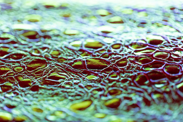  Crocodile leather texture.Animalistic wallpaper in holographic colors.Iridescent Crocodile Skin.Metallic shiny crocodile leather.Macro Shot of Crocodile Skin Texture.