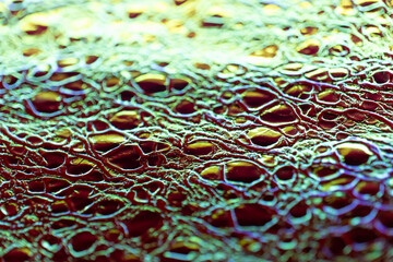  Crocodile print.luminous leather texture.Animalistic wallpaper in holographic colors.Iridescent Crocodile Skin.Metallic shiny crocodile leather.Macro Shot of Crocodile Skin Texture.