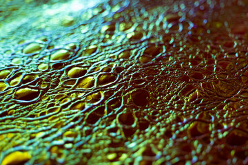  Iridescent Crocodile Skin.Metallic shiny crocodile leather.Macro Shot of Crocodile Skin Texture.