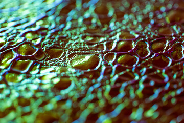  Crocodile Animalistic wallpaper in holographic colors.Iridescent Crocodile Skin.Metallic shiny crocodile leather.Macro Shot of Crocodile Skin Texture.