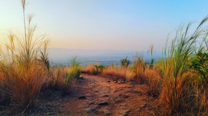 Scenic Dirt Pathway in Natural Landscape with Tall Grass Under Clear Blue Sky