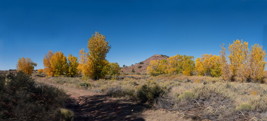 Fototapeta premium Hubbell Trading Post National Historic Site in Arizona. Hubble Hill with autumn cottonwood trees. Burial spot of JL Hubbell, his wife Lina Rubi, Bi'lii Lani (Chief Many Horses). 